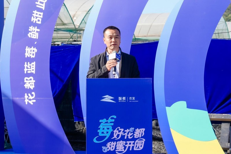 花都蓝莓采摘季开启 诚邀市民共品“莓”好