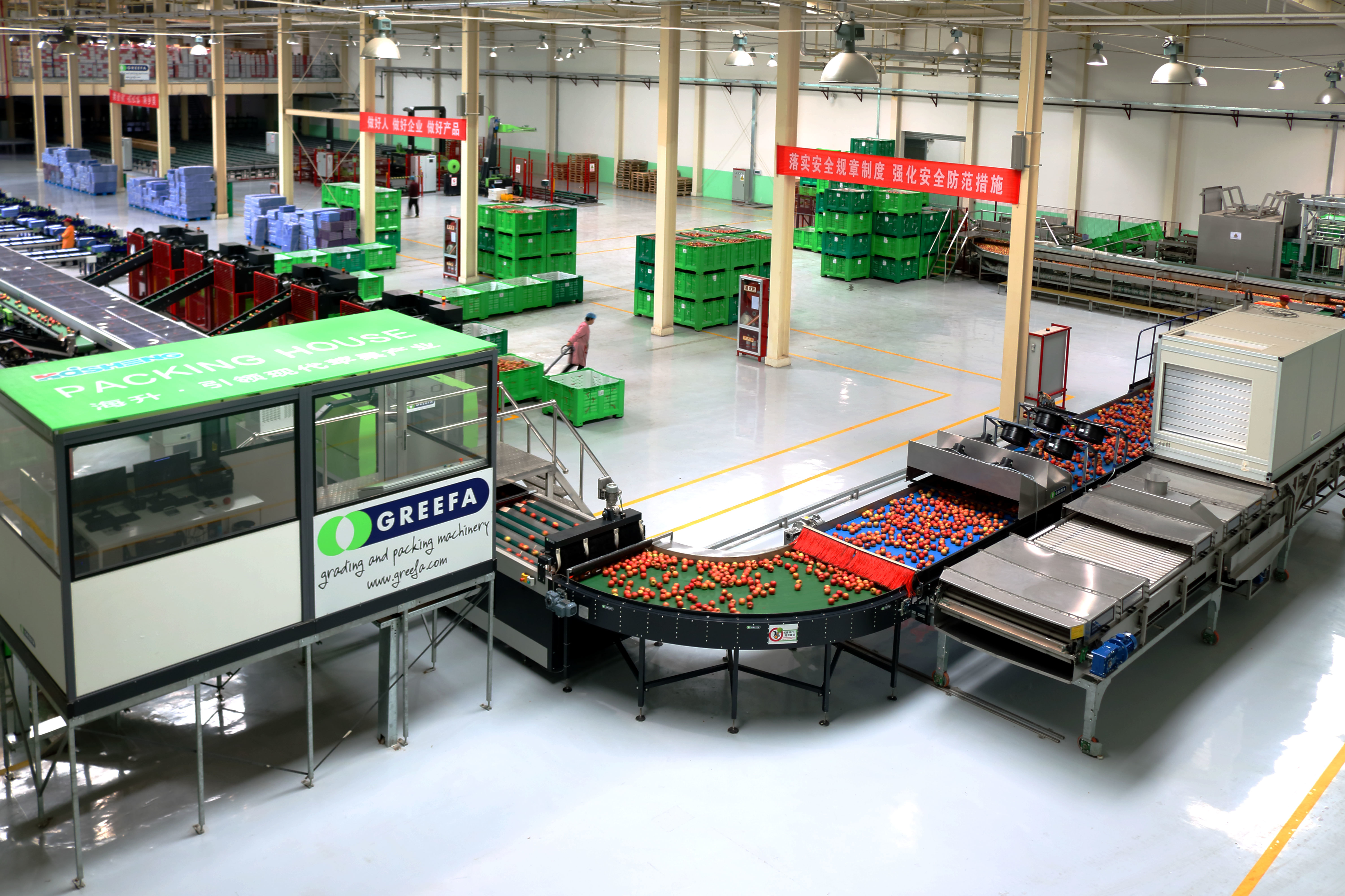 陕西千阳：着力绘就乡村振兴新画卷