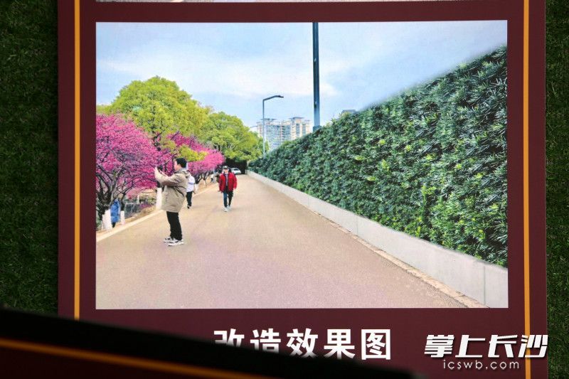 改造效果图。均为长沙晚报全媒体记者 贺文兵 摄