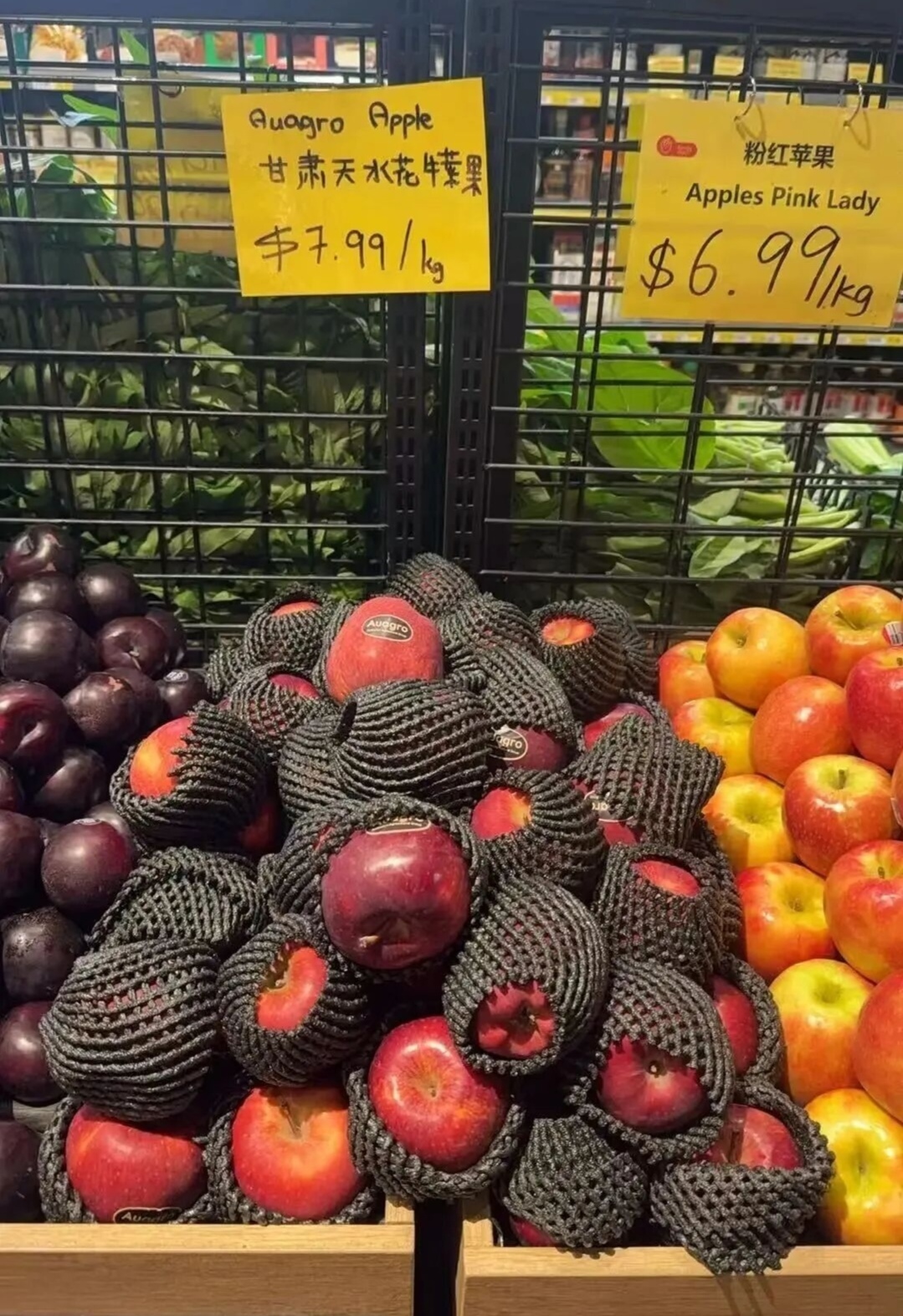 天水花牛苹果在澳大利亚悉尼的商超货架上售卖