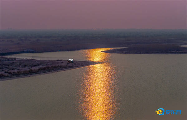 长河与大海的激情相拥，浩大广袤的黄河三角洲湿地，是大自然给予人类的深厚恩泽。李长义 摄