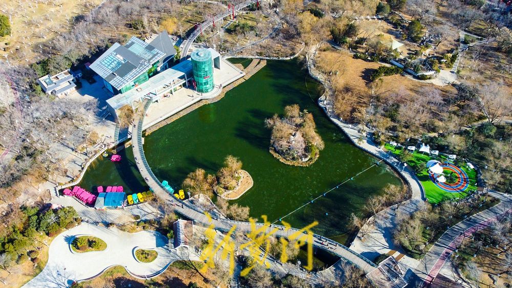 三九寒潮来袭，济南映日湖湖面封冻如翡翠