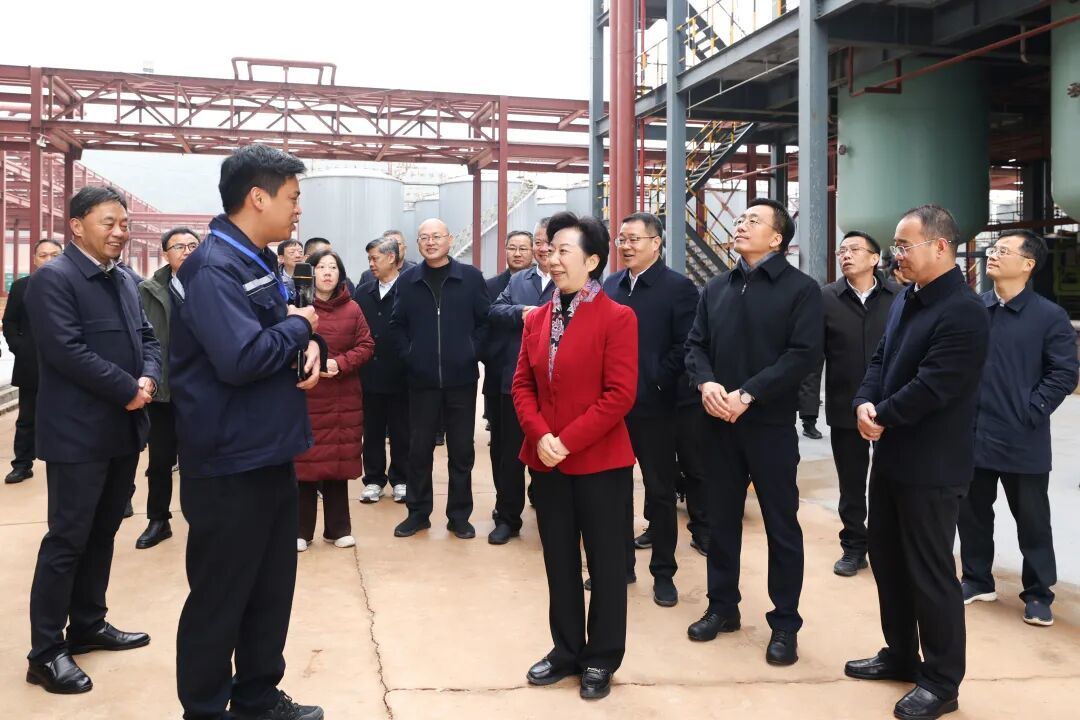 胡雪梅、陈克龙在乐平市江西恒盛化工项目现场观摩。（全媒体记者 余乐俭 摄）