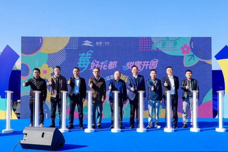 花都蓝莓采摘季开启 诚邀市民共品“莓”好