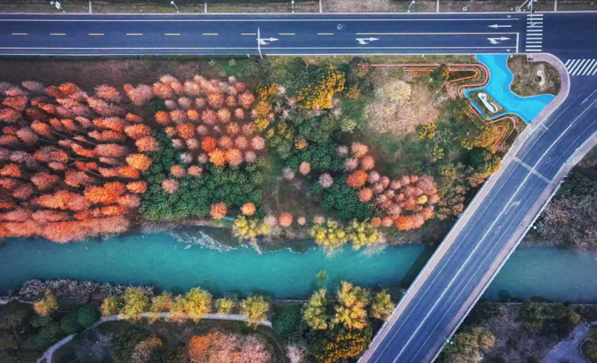 “貌”变滨湖：湖湾焕新，精致之城