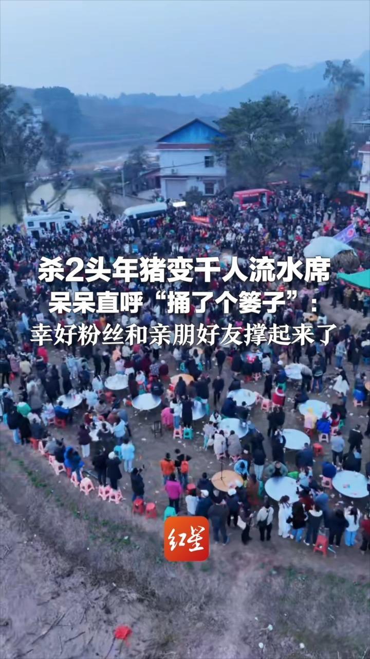 3天涨粉百万 呆呆直呼“捅了个篓子”：杀2头年猪变千人流水席 幸好粉丝和亲朋好友撑起来了