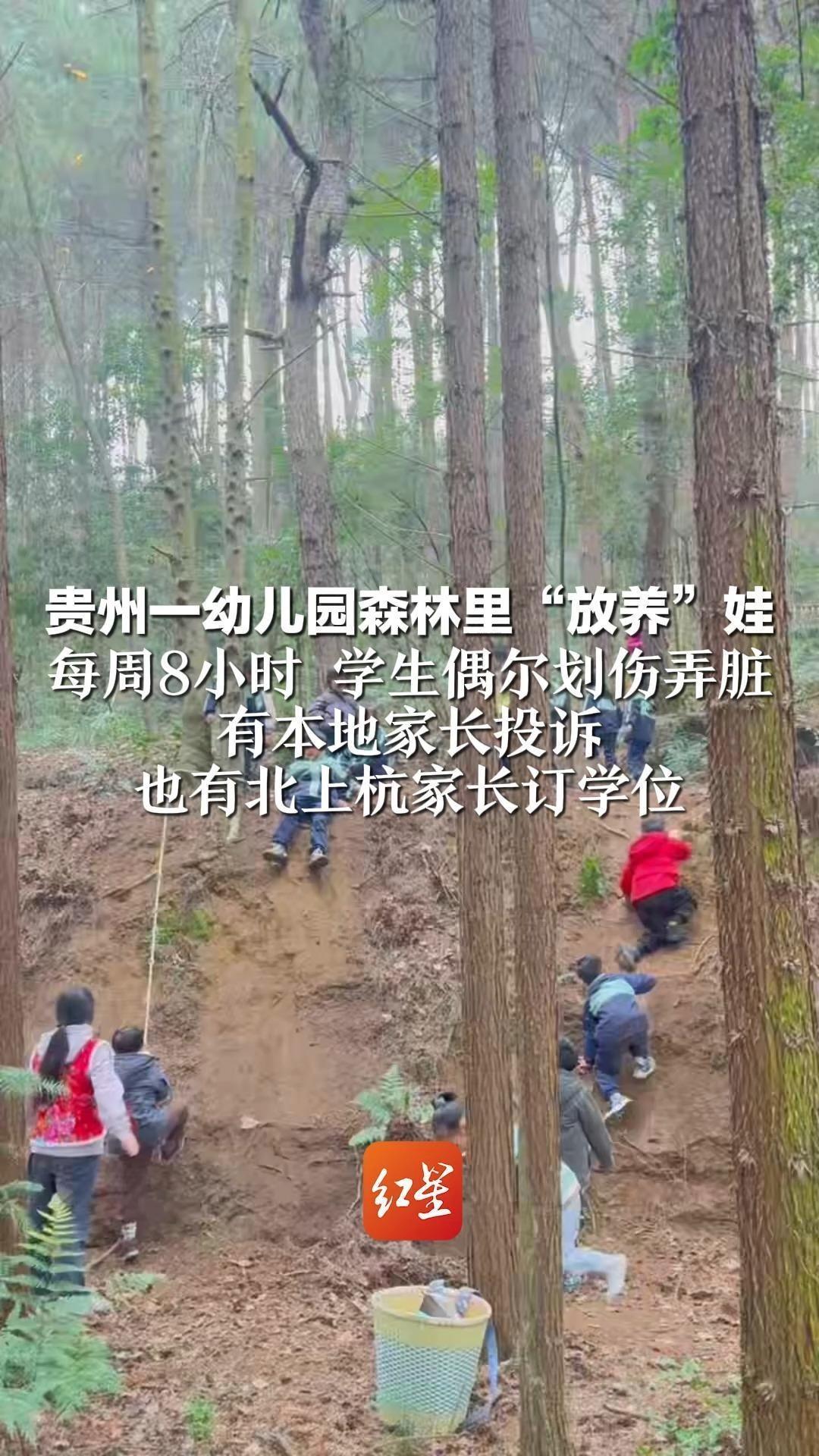 贵州一幼儿园森林里“放养”娃 每周8小时 学生偶尔划伤弄脏 有本地家长投诉 也有北上杭家长订学位