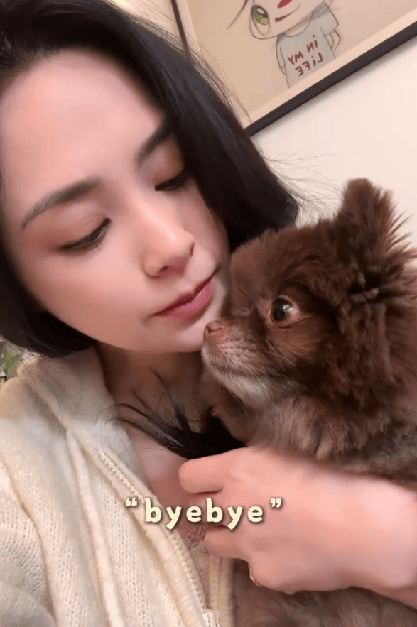 钟欣潼抱着软萌小狗玩耍好惬意。