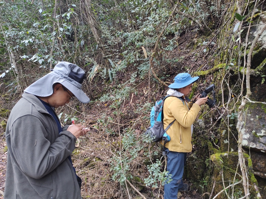 科考队员仔细记录江西马头山上的苔藓种类