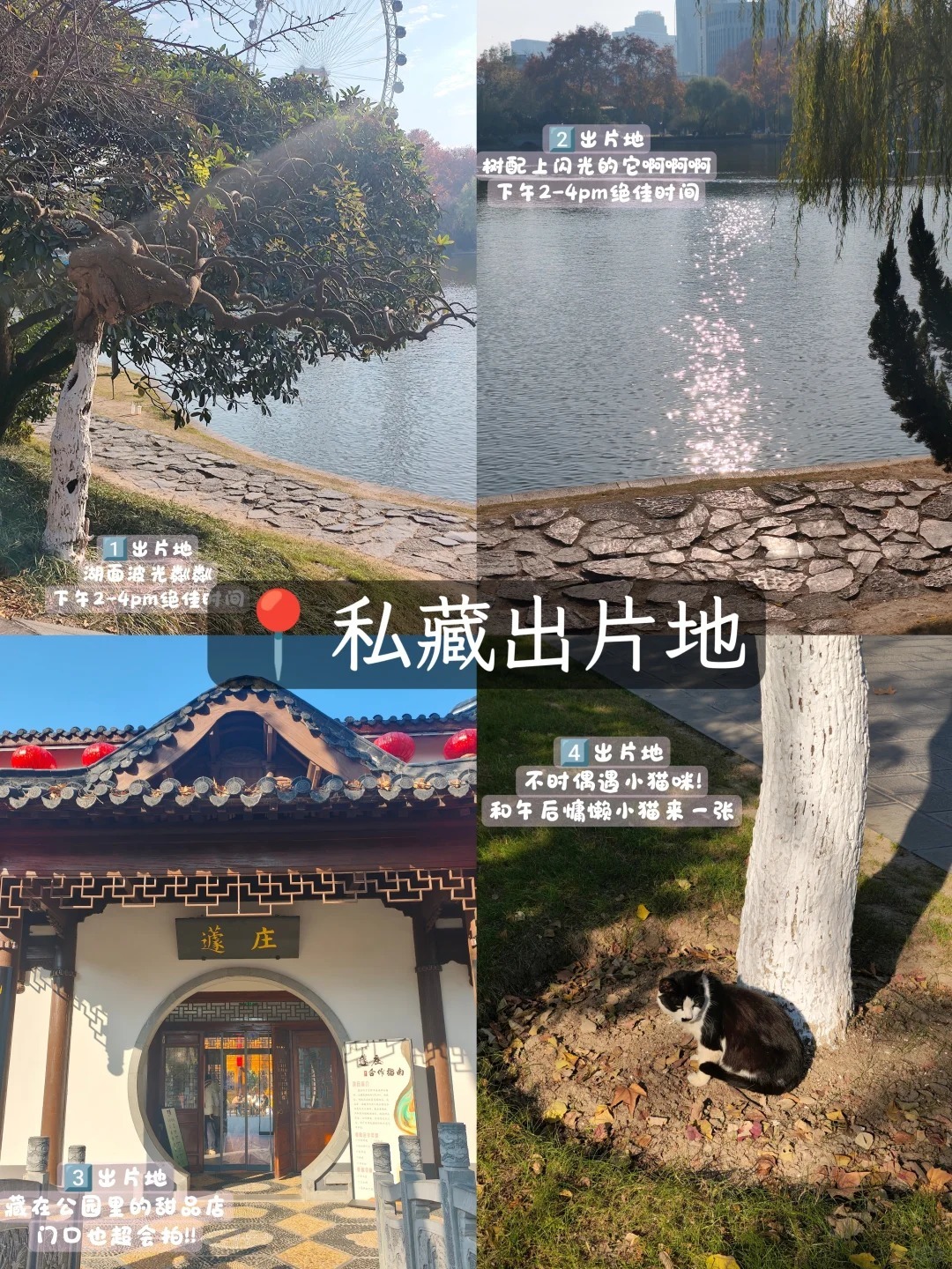 合肥懒人省钱版1天1夜｜人均150吃逛玩！