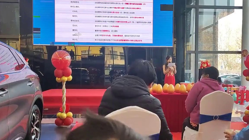 同价位选择：燃油车高速性能与电动车城市便利性对比