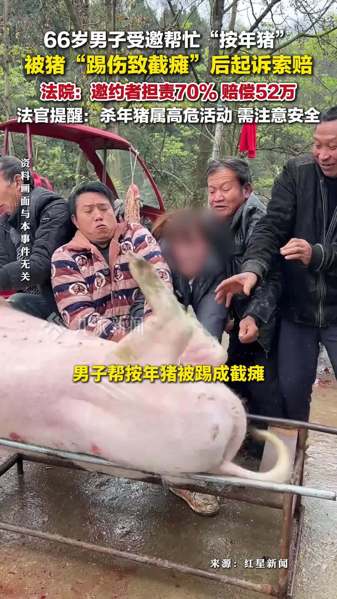 66岁老人帮按年猪被踢截瘫获赔52万