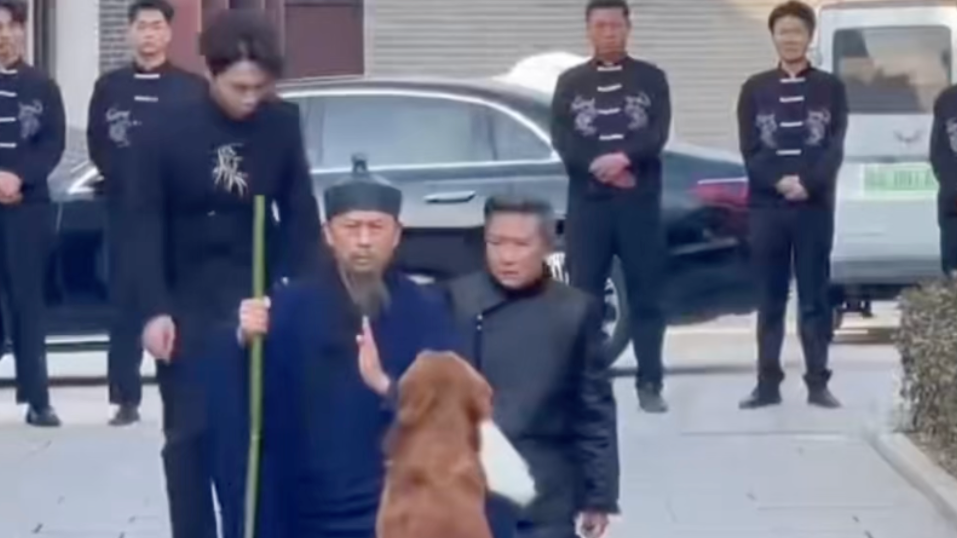 河南六百年古村变“竖店”，狗一天片酬600元、驴一天500元，村书记：短剧占村集体收入的20%