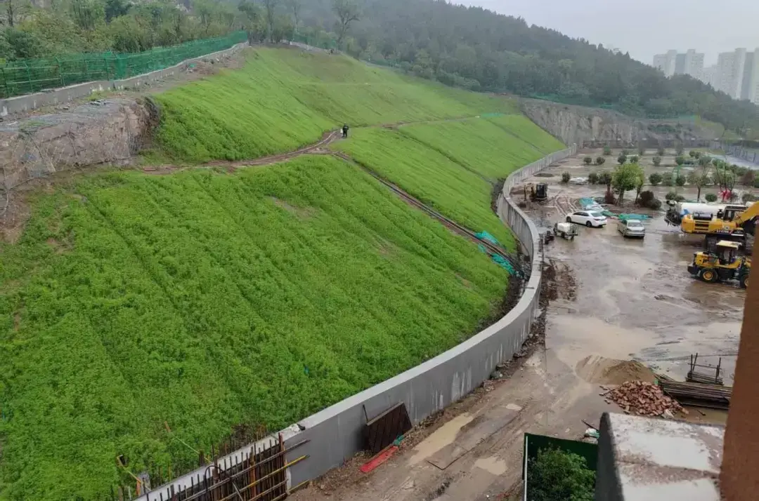徐州泉山2025民生实事落地见效