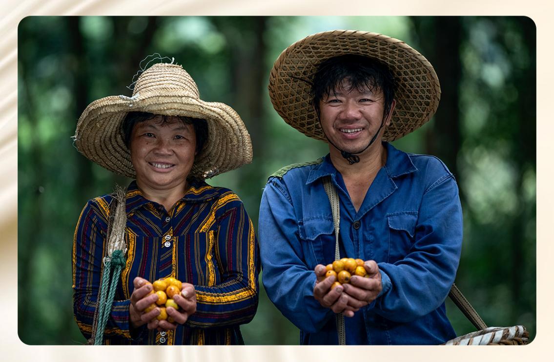 一颗野果的34年蝶变：齐云山以守创之道铸江西美食“金名片”