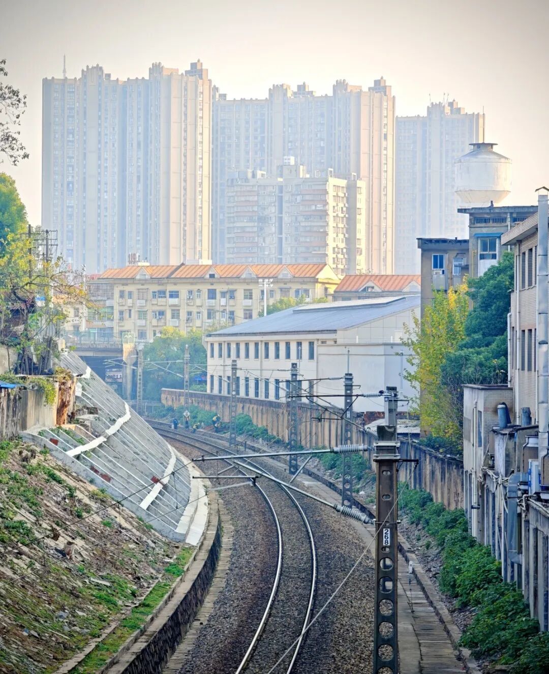 微信图片_20260116102806_133_913.jpg