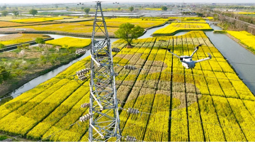泰州建起207座无人机机场