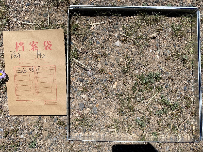 砾质荒漠生态系统的植被调查及土壤和植被样品采集