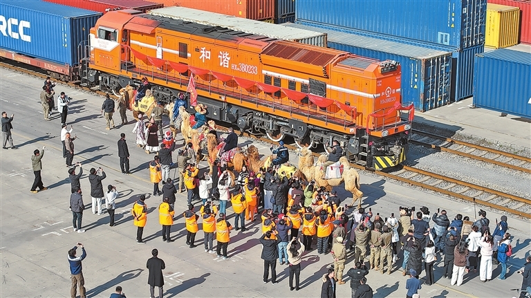 1月13日，在郑州中欧班列的发车仪式上，新疆“东天山来的骆驼队”惊喜亮相。聂冬晗 摄