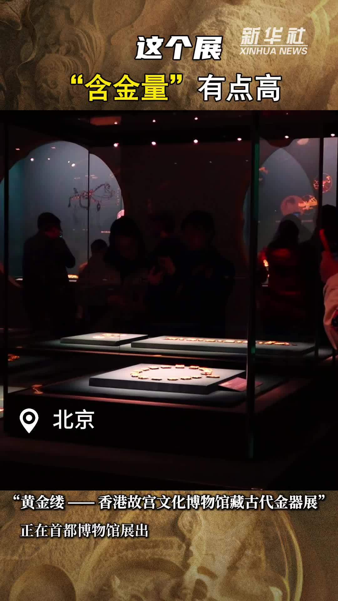 这个展，“含金量”有点高