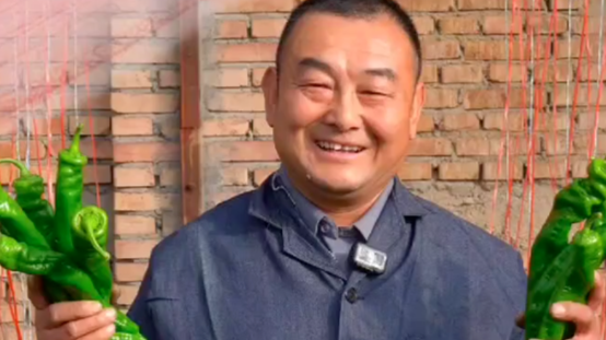 甘肃肃州的哥变身戈壁新农人　建聚宝“棚”带乡亲致富