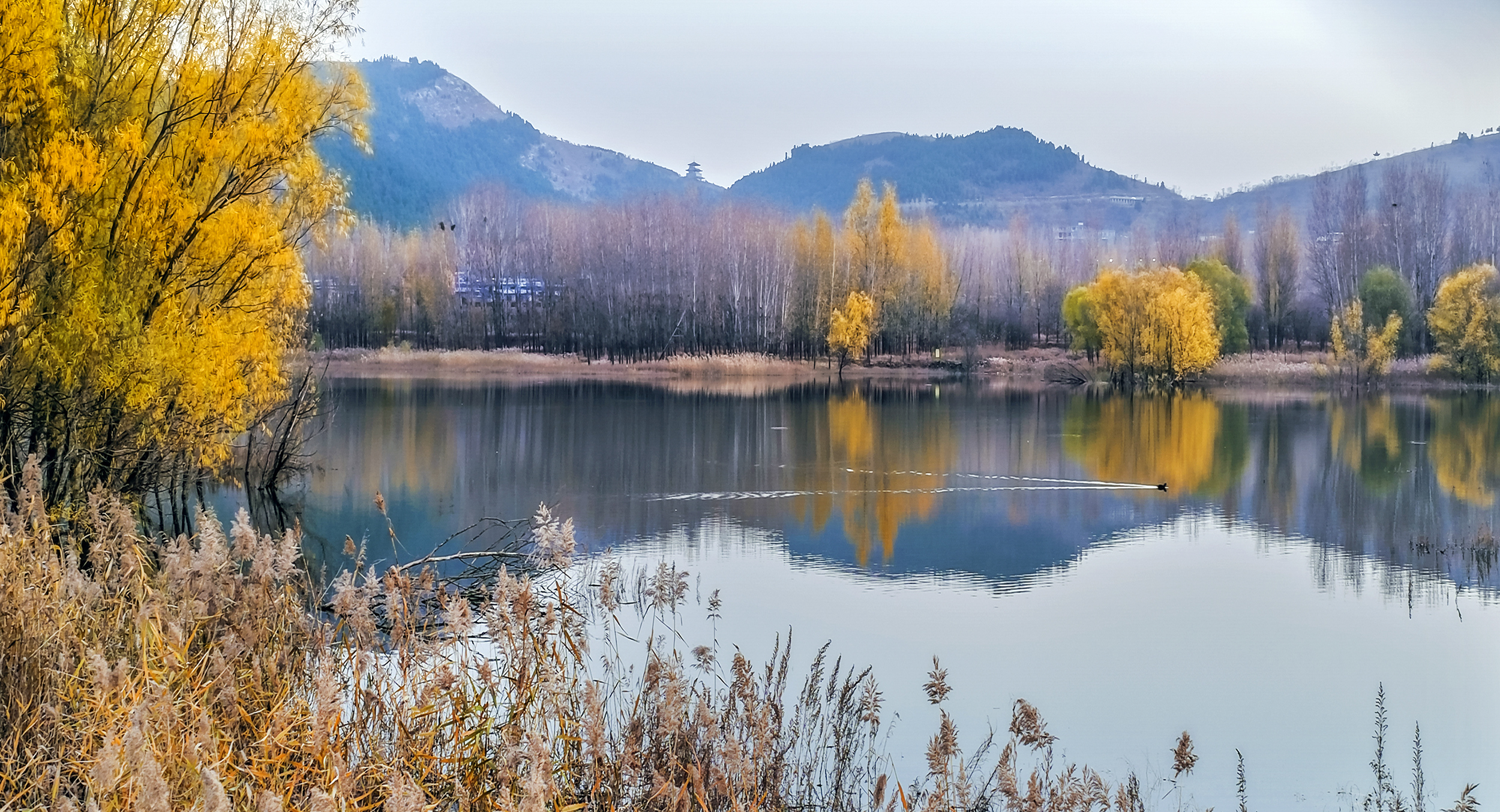 枣庄库区冬景如画