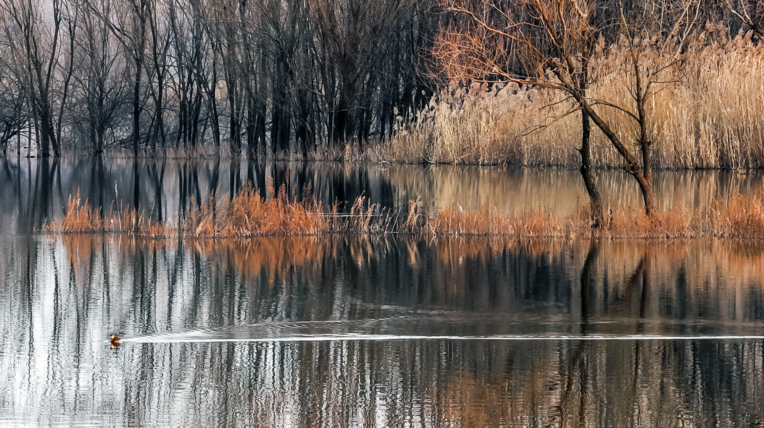 枣庄库区冬景如画