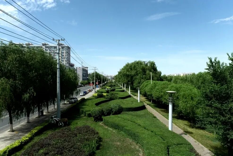 甘肃张掖破解缺水难题　你打卡的绿意可能来自再生水