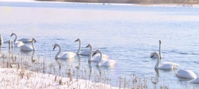 雪落南海绘美景