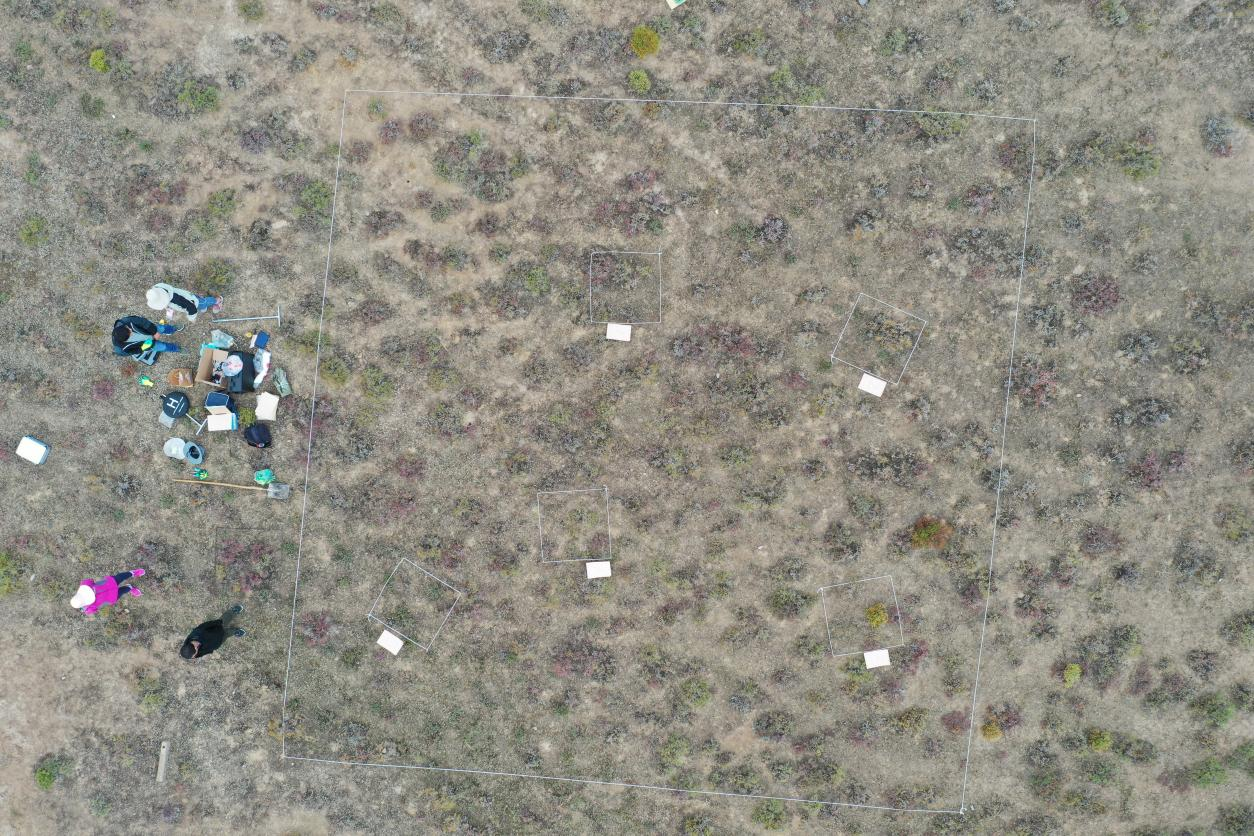 无人机拍摄的调查样方图