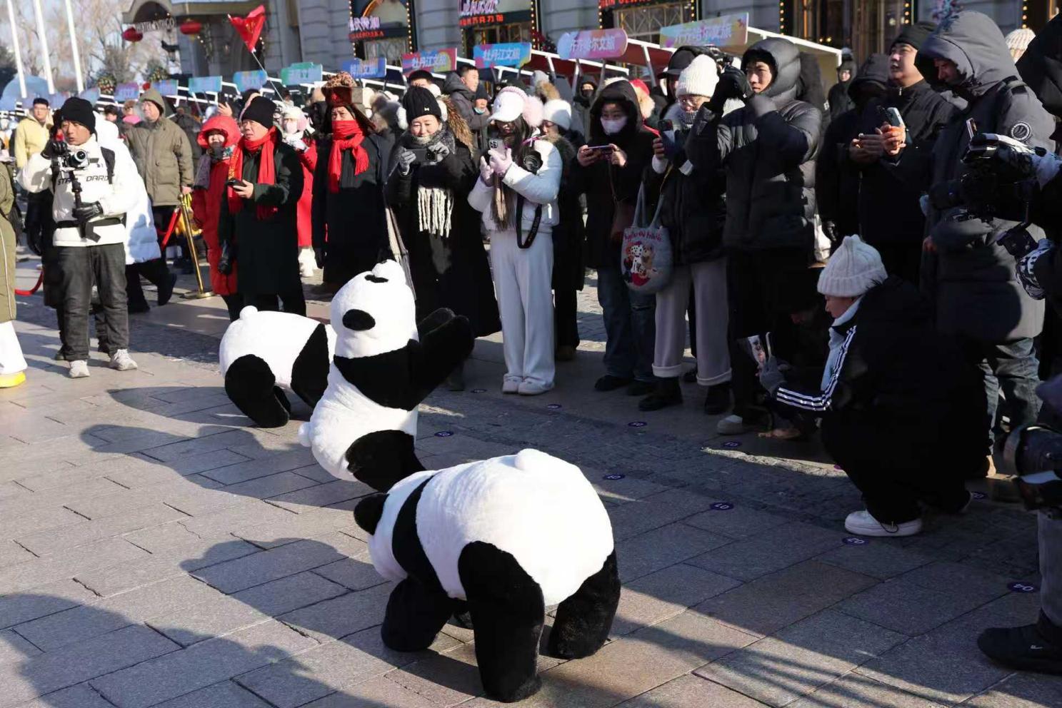 【机器熊猫与游客现场互动】