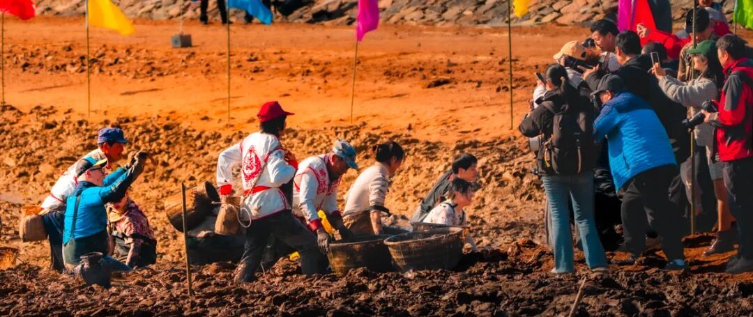 纳冬塘、品鱼鲜、享渔俗！西沪港冬捕好热闹