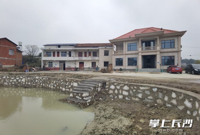 清淤后的池塘。均为受访者供图