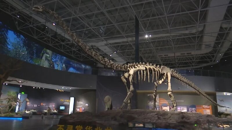 河北地质大学博物馆新馆