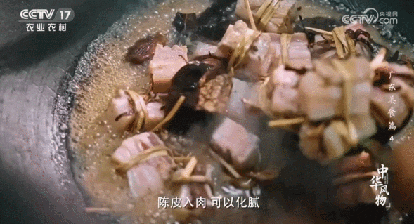 陈皮水鸭汤