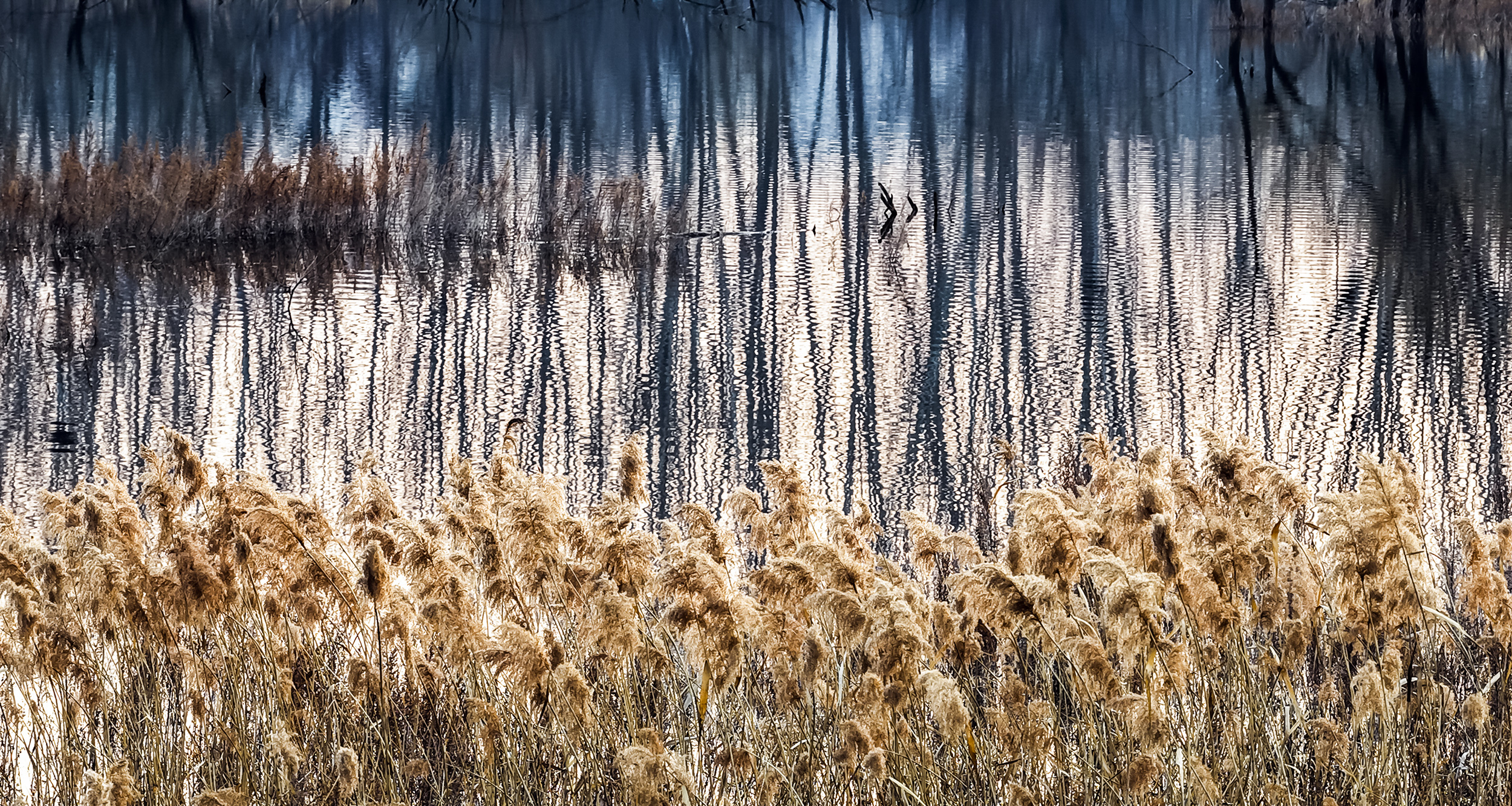 枣庄库区冬景如画