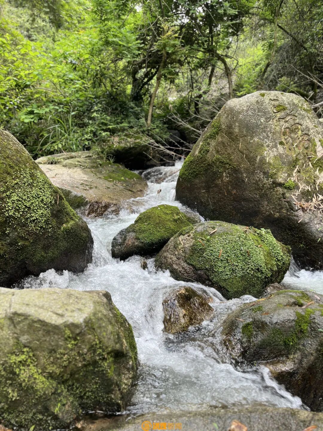 爬山、书房、咖啡……解锁南昌冬日“暖系”玩法