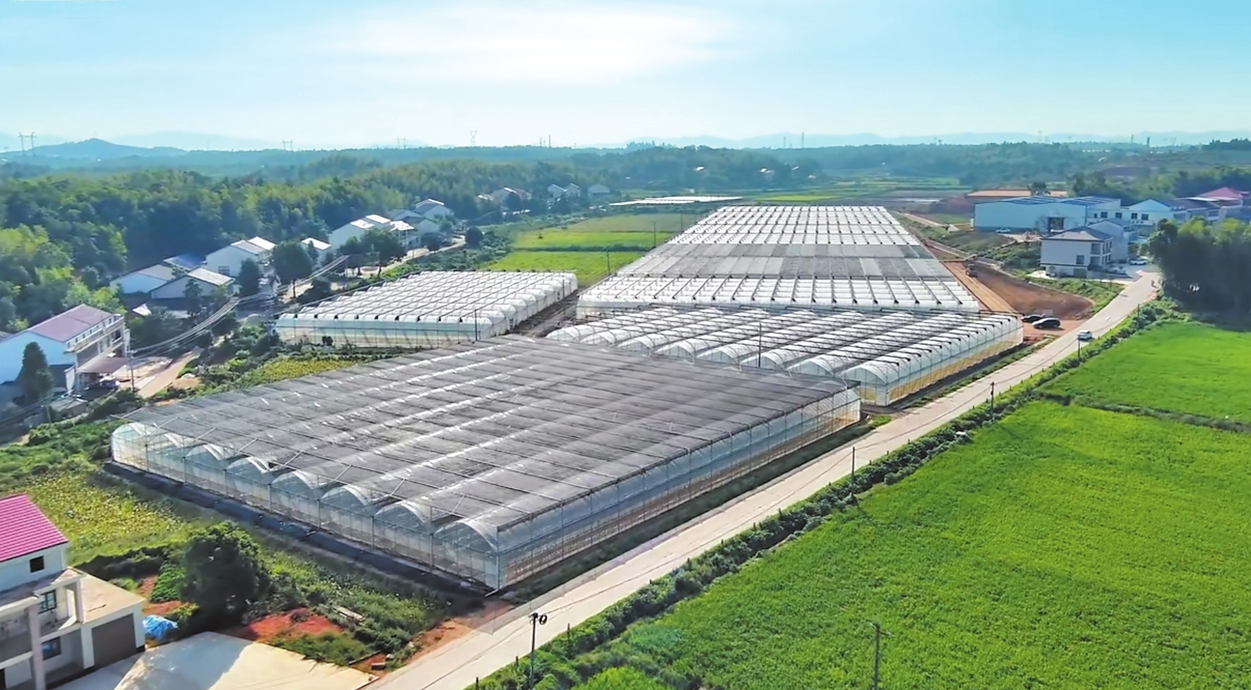 汨罗盘活闲置大棚打造乡村振兴“聚宝盆”