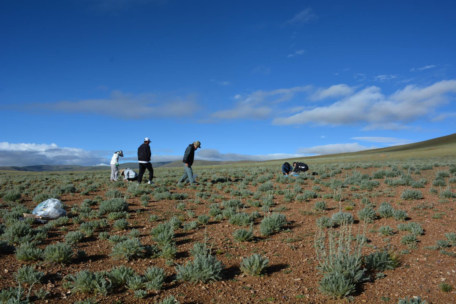 团队在野外做采样调查