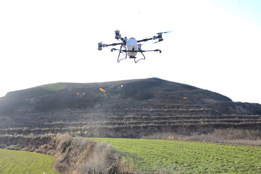 清水县松树镇良繁基地
