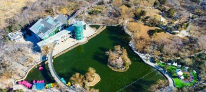 三九寒潮来袭，济南映日湖湖面封冻如翡翠