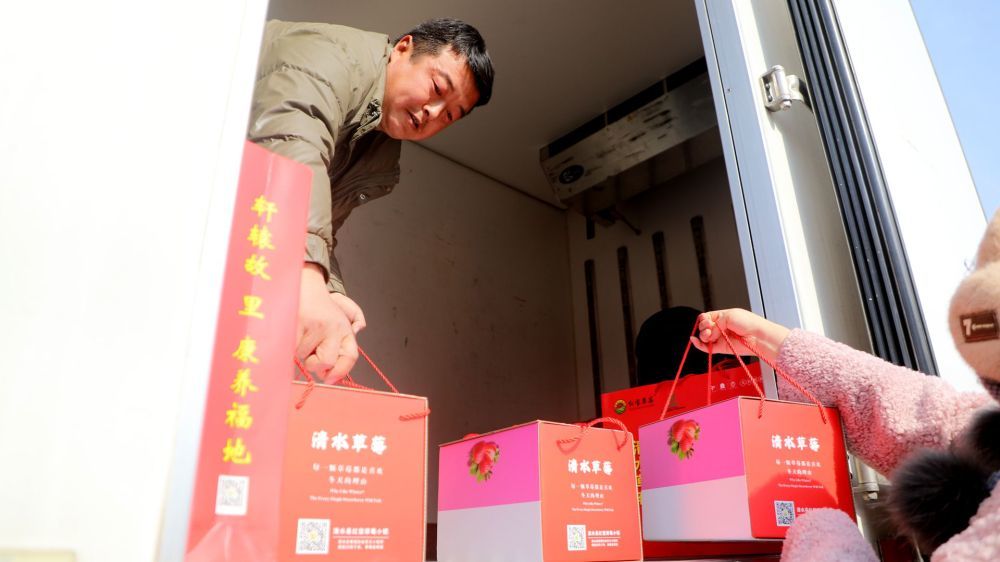 首次“苹”实力香飘澳大利亚商超　甘宝贝“牛”得嘞