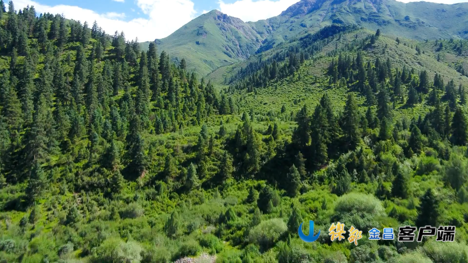 △祁连山国家级自然保护区（金昌段）草木葱茏、生机盎然（资料图）
