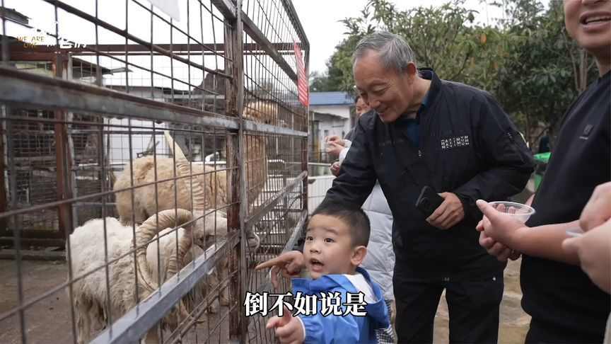 70岁老人独守史上最“寒酸”动物园，网友看不过去给老人转账