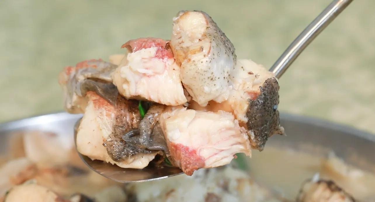 源野藏真味，山肴暖故心——《今日岭南》栏目组走进江门源野山庄