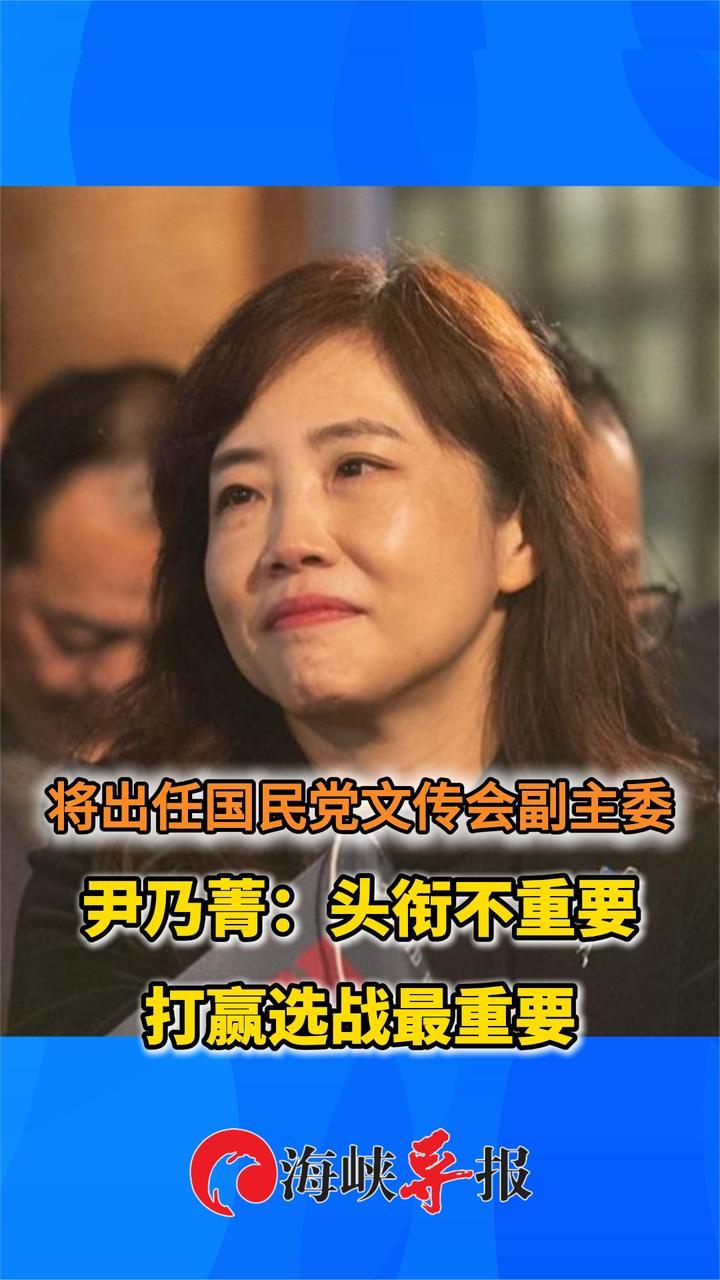 将出任国民党文传会副主委，赵少康人马尹乃菁：头衔不重要