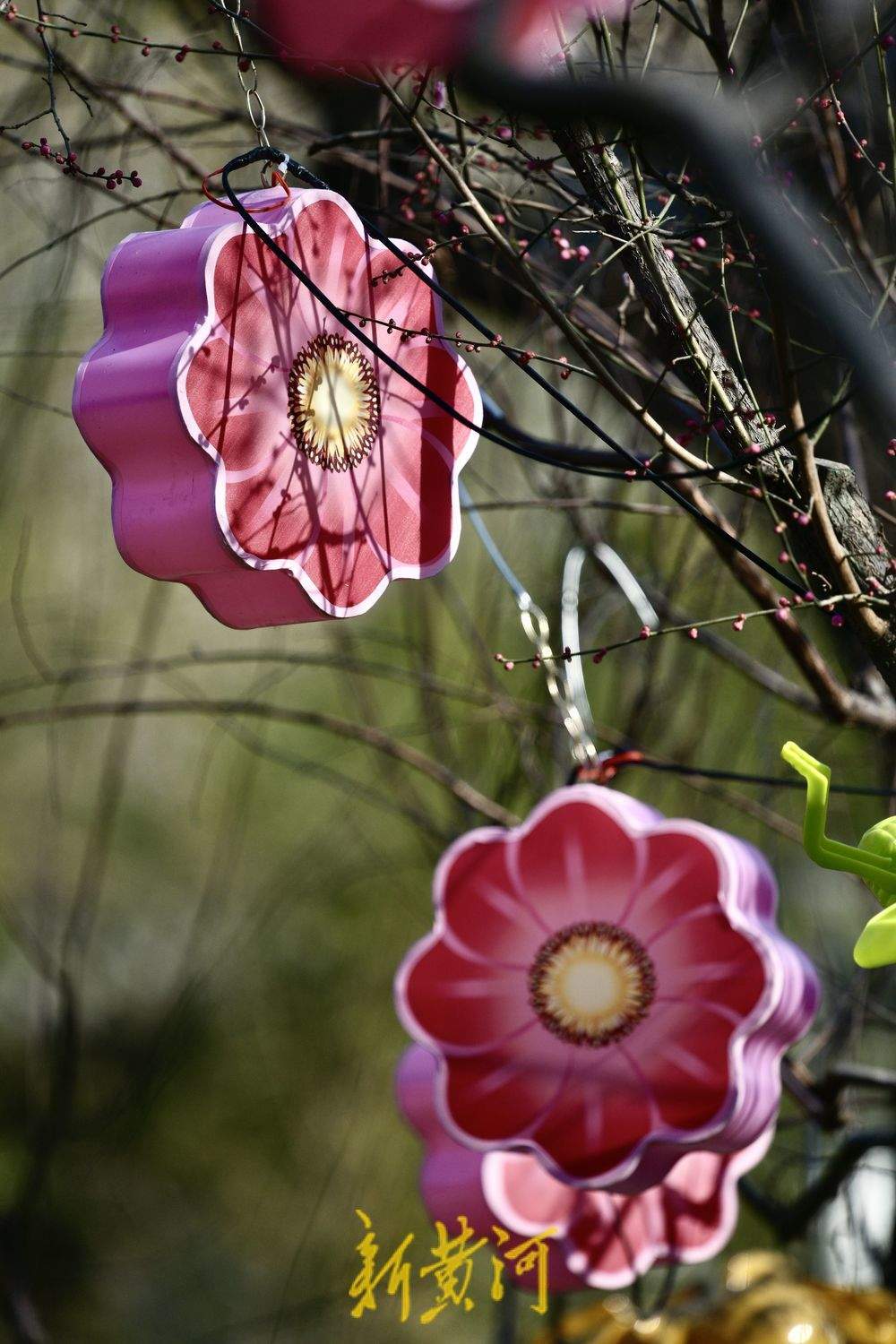 五龙潭迎春花灯启动安装 将化身梦幻光影乐园点亮泉城