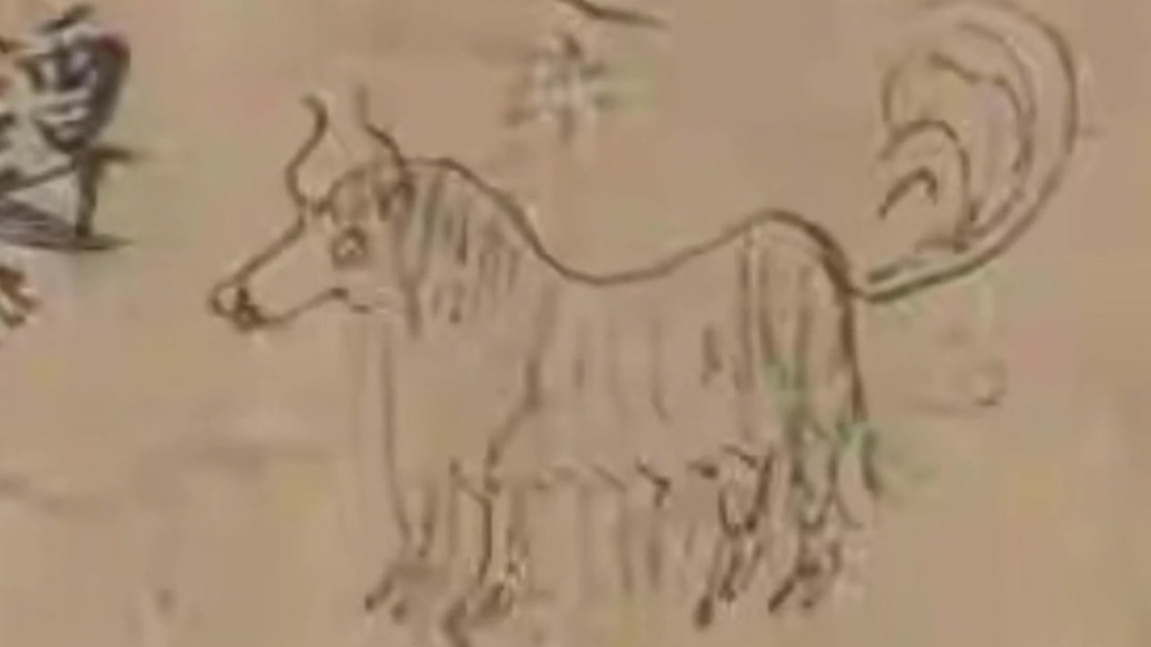 敦煌莫高窟不只有飞天　还藏着“动物百科全书”