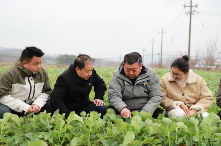 江西彭泽朱永胜：四十年初心如磐 书写“为农服务”答卷