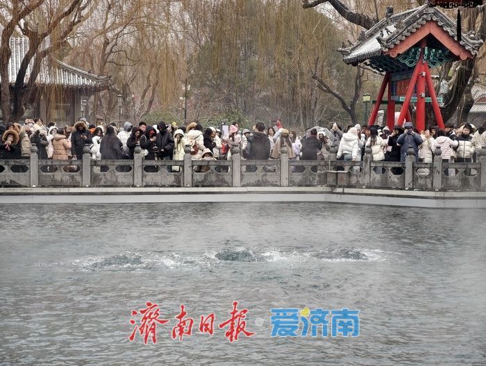 一年四季 泉在济南丨雪润泉城！趵突泉再现“云雾润蒸”胜景
